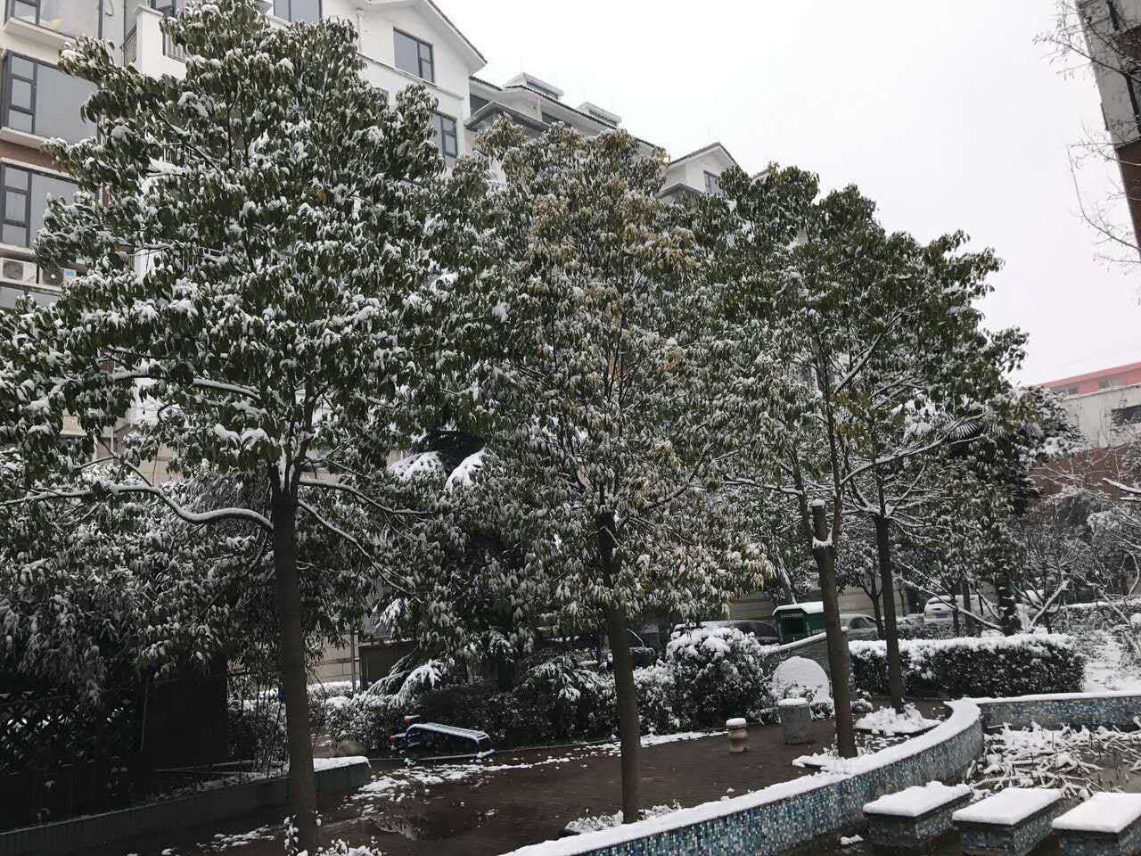 2018年的第一场雪